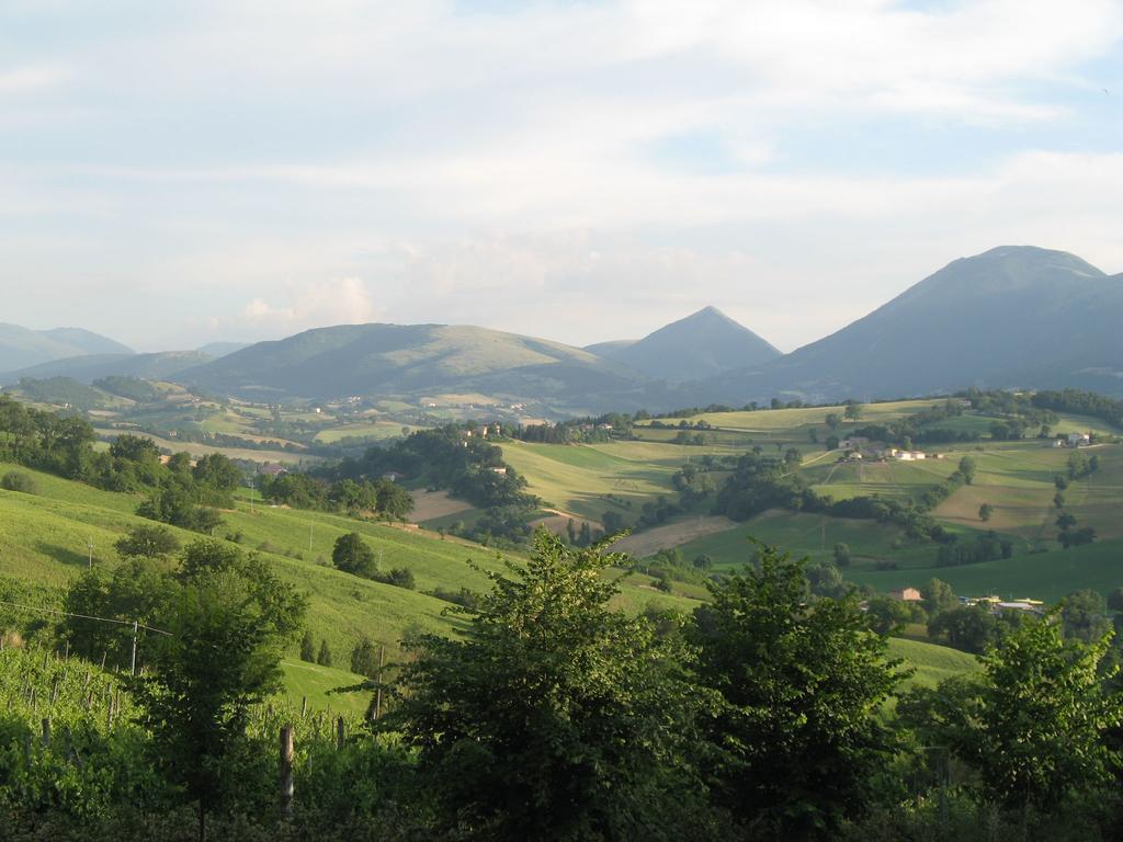 Locanda Dell'Istrice Camerino Bilik gambar